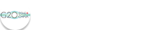 G20 정상회의 (중국 항저우)