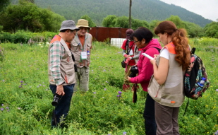 Korea, Mongolia cooperate on plant diversity, conservation