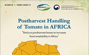 Tomato manual lifts African aid